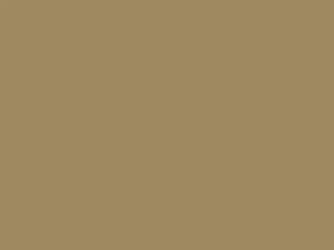 Gold Metallic touch-up paint for Dodge, code AY2EY4, Y4, 1969