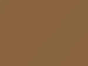 Bahia Beige touch-up paint for Audi, code LY1M, 1983