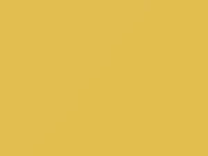 Primrose Yellow touch-up paint for Isuzu, code 2172P1, 827, 1985
