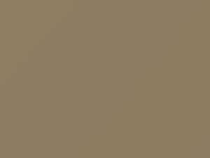 Cream Beige touch-up paint for Hyundai, code CI, 1989
