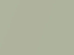 Emerald Mist Metallic touch-up paint for Buick, code 4049, 45, 46, WA4049, 1972