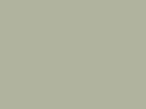 Emerald Mist Metallic touch-up paint for Buick, code 4049, 45, 46, WA4049, 1972