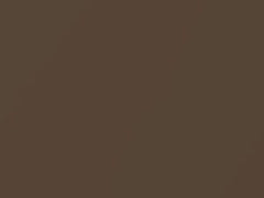 Brown Metallic touch-up paint for Toyota, code 4B5, 1986