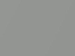 Light Silver Metallic touch-up paint for Alfa Romeo, code 765, 1983