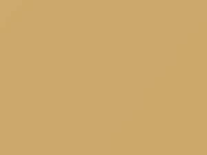 Light Cashmere touch-up paint for Chrysler, code AY69ST1, PT1, 1981