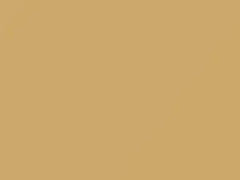 Light Cashmere touch-up paint for Chrysler, code AY69ST1, PT1, 1980