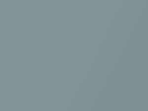 Silver Metallic touch-up paint for Mercury, code M5299C, P, 1979