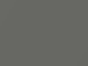 BMW Ascot Gray Metallic touch up paint 151 1982 All Models