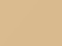 Coral White touch-up paint for Saab, code W02H, 1975