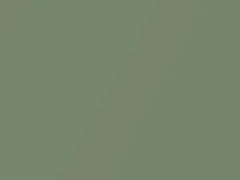 Grasshopper Green Metallic touch-up paint for Amc, code C8, 1972