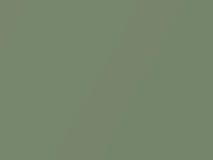 Grasshopper Green Metallic touch-up paint for Amc, code C8, 1972