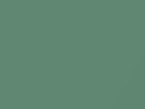 Aqua Mist Metallic touch-up paint for Amc, code P15, 1961