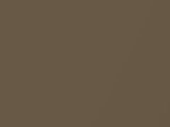 British Bronze Metallic touch-up paint for Amc, code 8B, 1979