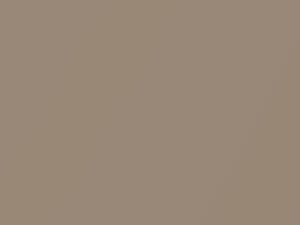 Beige Metallic/Tan Metallic touch-up paint for Nissan, code 225, 1985