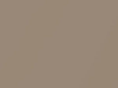 Beige Metallic/Tan Metallic touch-up paint for Nissan, code 225, 1985