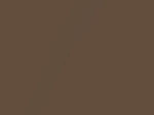 Medium Camel Metallic touch-up paint for Buick, code 69, 7137, WA7137, 1979