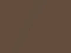 Medium Camel Metallic touch-up paint for Buick, code 69, 7137, WA7137, 1979