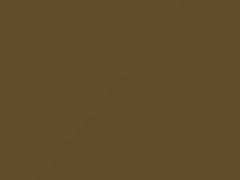 Senape Gold touch-up paint for Fiat, code 513, 1970