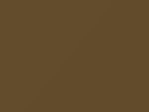 Senape Gold touch-up paint for Fiat, code 513, 1970