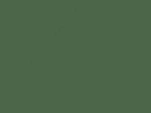 Breath Green touch-up paint for Toyota, code 1654, 1972
