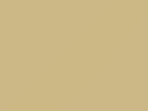 Mercedes-Benz Light Ivory touch up paint 1-623 1987 All Models