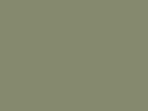 Silver Mist Metallic touch-up paint for Buick, code 3478, W, WA3478, 1966