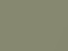 Regal Silver Metallic touch-up paint for Cadillac, code 16, 3478, WA3478, 1966