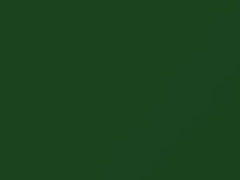 Green/Kelly Green touch-up paint for Nissan, code 940, 1977