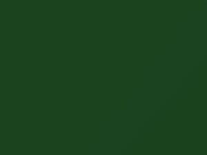 Green/Kelly Green touch-up paint for Nissan, code 940, 1977