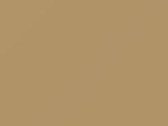 Aran Beige touch-up paint for Triumph, code 417, NCC, 1981