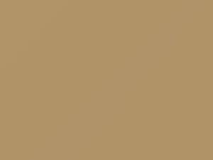 Aran Beige touch-up paint for Triumph, code 417, NCC, 1981