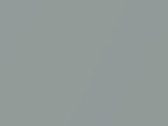Silver Platina Metallic touch-up paint for Toyota, code 1552, 1971