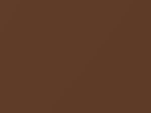 BMW Sienna Brown Metallic touch up paint 9 1976 All Models