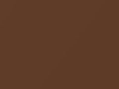 BMW Sienna Brown Metallic touch up paint 9 1975 All Models