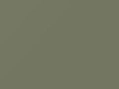 Flower Green touch-up paint for Toyota, code 1528, 1969