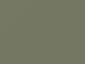 Flower Green touch-up paint for Toyota, code 1528, 1969