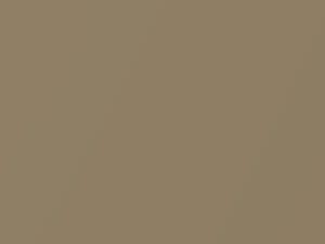 Yuca Tan Metallic touch-up paint for Amc, code D2, 1972