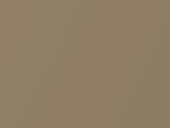 Yuca Tan Metallic touch-up paint for Amc, code D2, 1972
