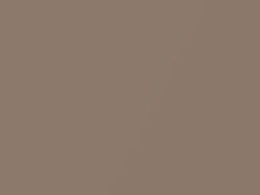 Medium Brown Metallic touch-up paint for Amc, code OL, 1981