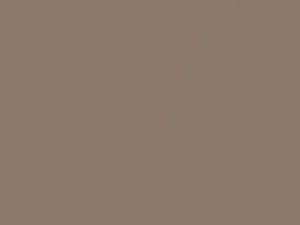 Medium Brown Metallic touch-up paint for Amc, code OL, 1981