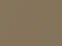 Sandy Gold Metallic touch-up paint for Mazda, code R9, 1983