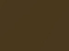 Dark Brown Metallic touch-up paint for Datsun, code 122, 1973