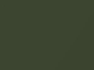 Mercedes-Benz Stone Pine Green Metallic touch up paint 6-862 1975 All Models