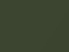 Mercedes-Benz Stone Pine Green Metallic touch up paint 6-862 1975 All Models