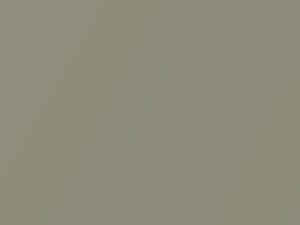 Pearl Metallic touch-up paint for Toyota, code 1520, 1968