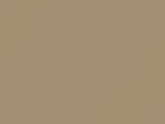Medium Beige touch-up paint for Buick, code 39, 8514, WA8514, 1983