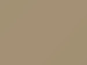 Medium Beige touch-up paint for Buick, code 39, 8514, WA8514, 1983