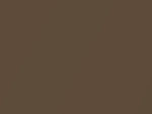 Dark Brown Metallic touch-up paint for Isuzu, code 2153P1, 809, 1984