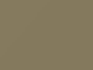 Sand Beige touch-up paint for Fiat, code 583, 1967