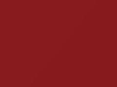 BMW Garnet Red Metallic touch up paint 25 1974 All Models